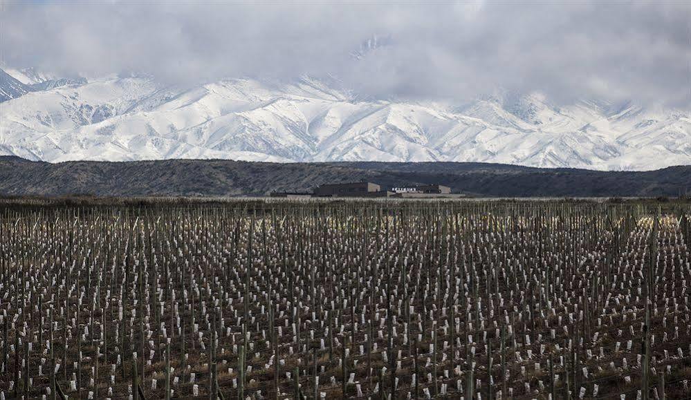 Auberge Du Vin, A Tribute Portfolio Hotel Tupungato megye Kültér fotó