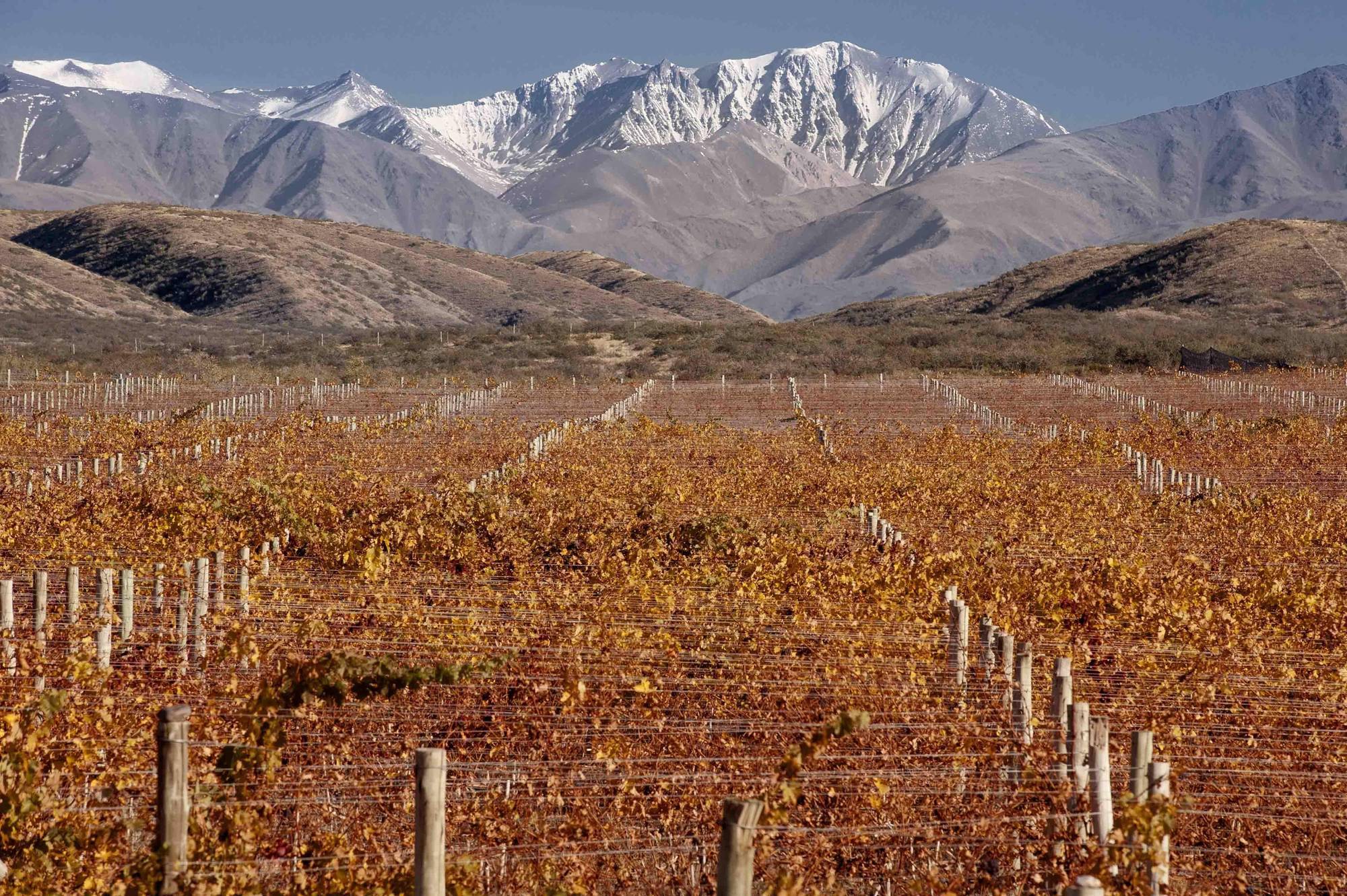 Auberge Du Vin, A Tribute Portfolio Hotel Tupungato megye Kültér fotó